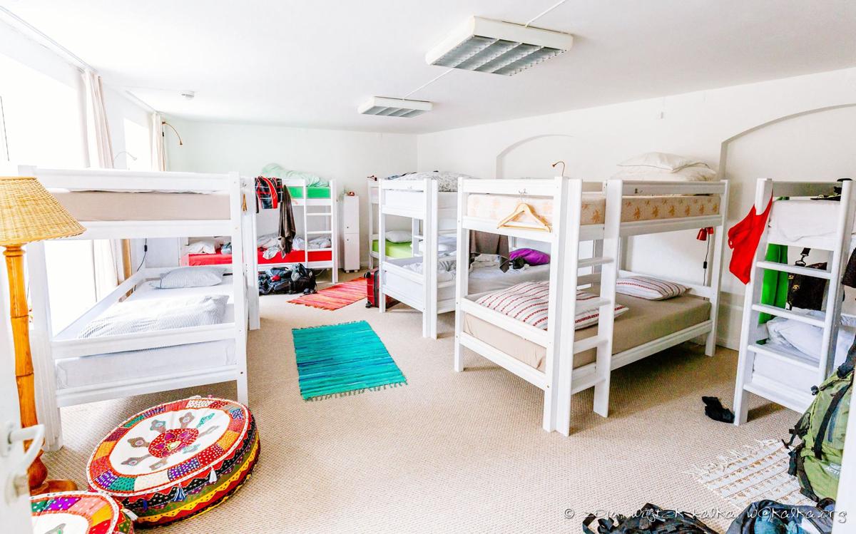 Tree House Hostel photo 3