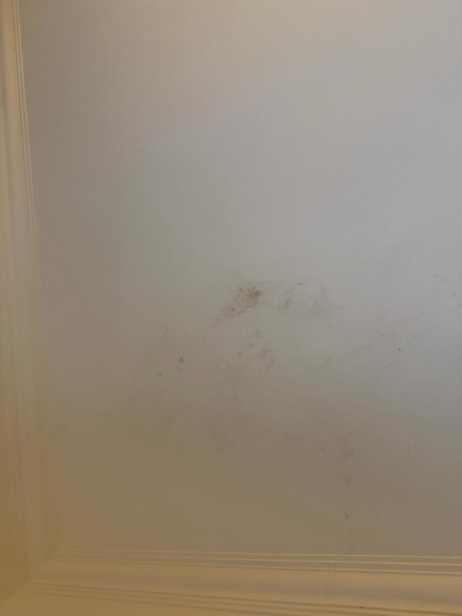 Hotel Chateau Georgette photo 6