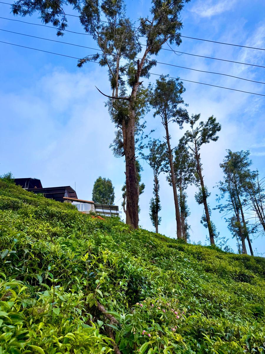 Mad & Nomad Backpackers Hostel photo 2