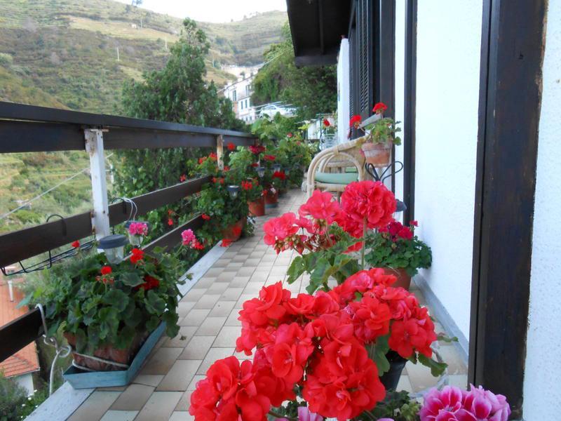Affittacamere Stella Cinque Terre photo 5