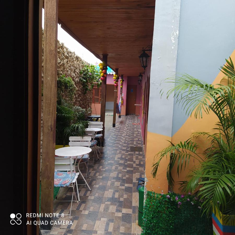 New Casa Dora photo 4
