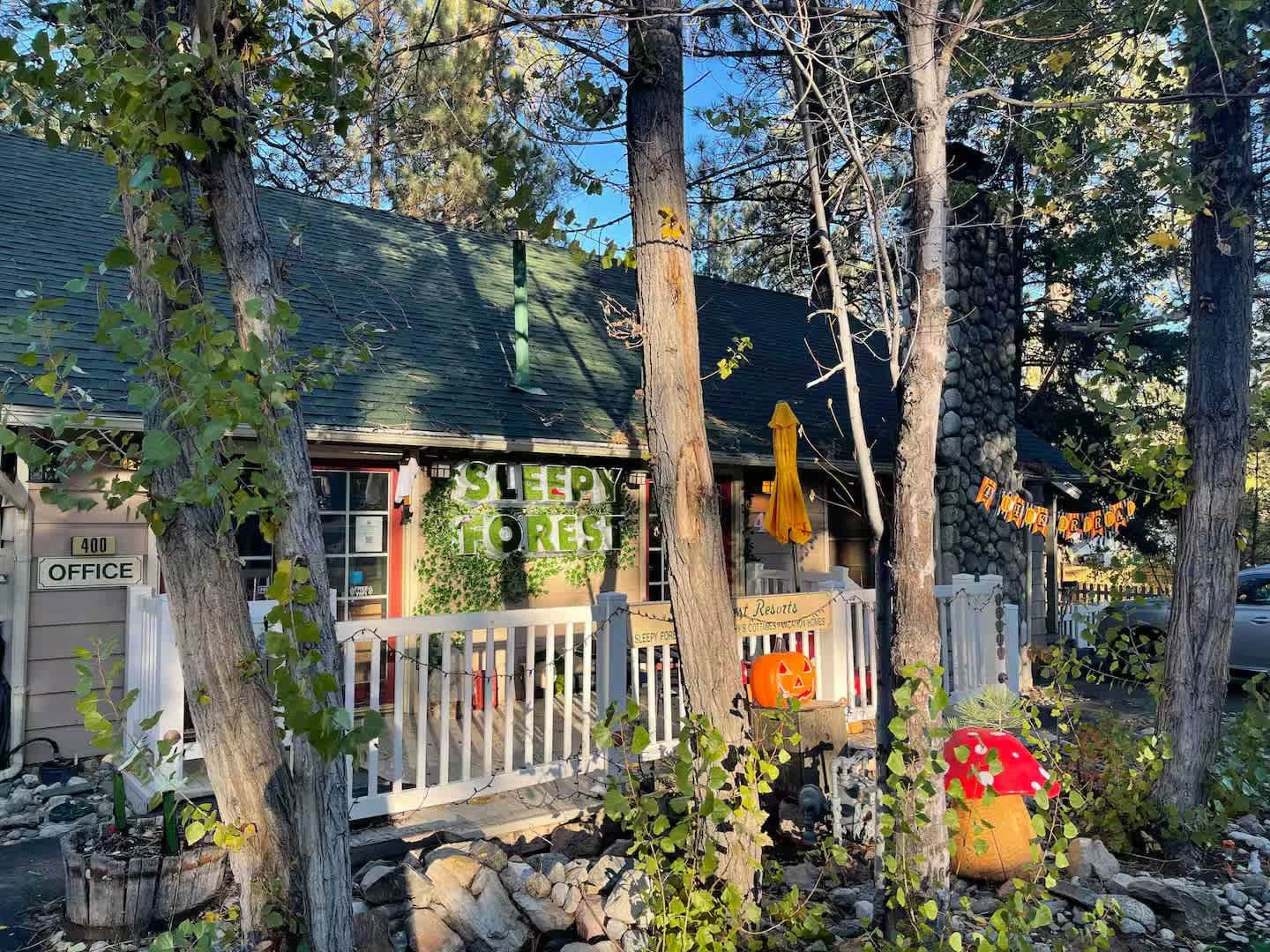 Sleepy Forest Hostel photo 3