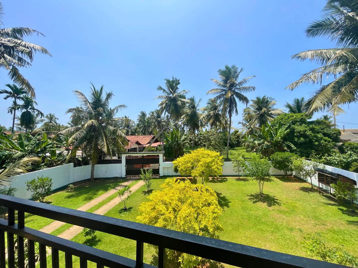 Curly Hostel Negombo photo 4