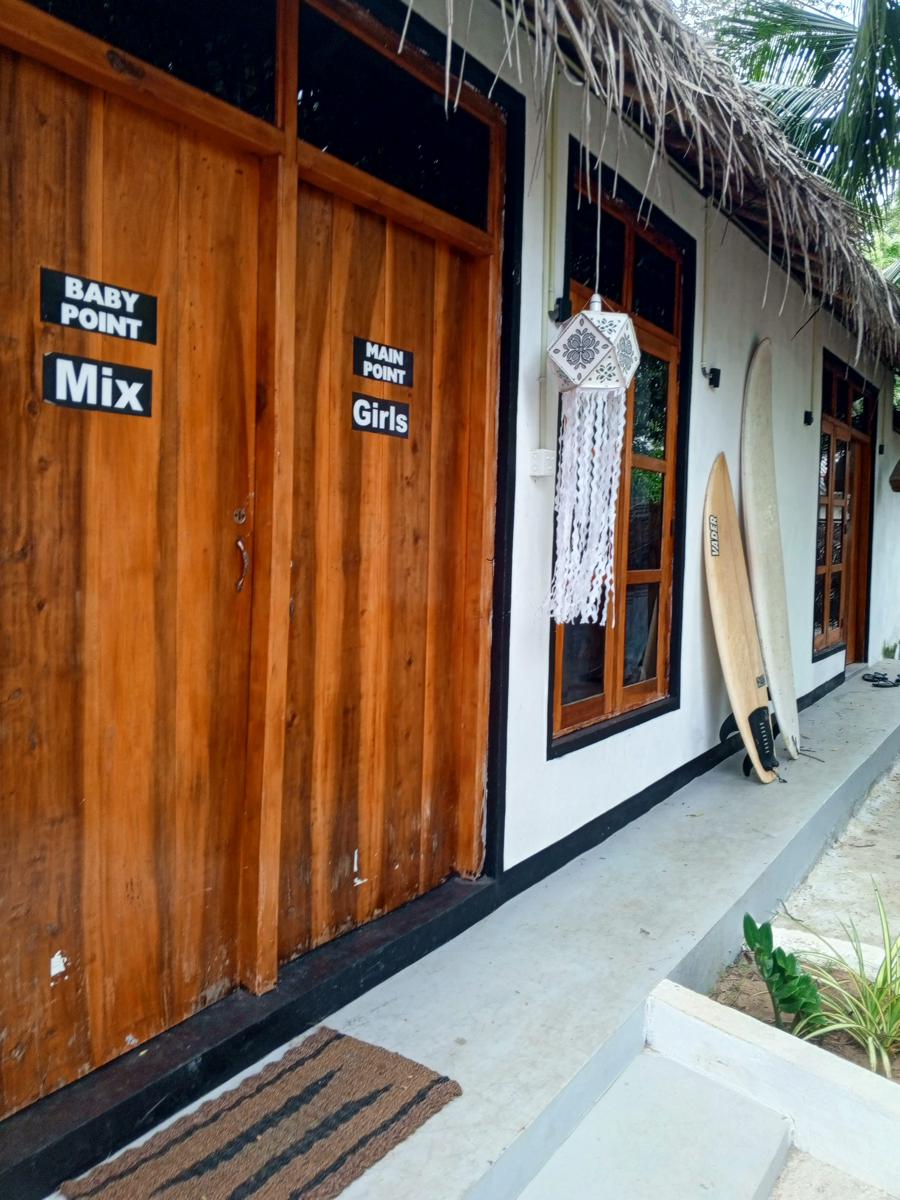 Surfing Lion photo 3