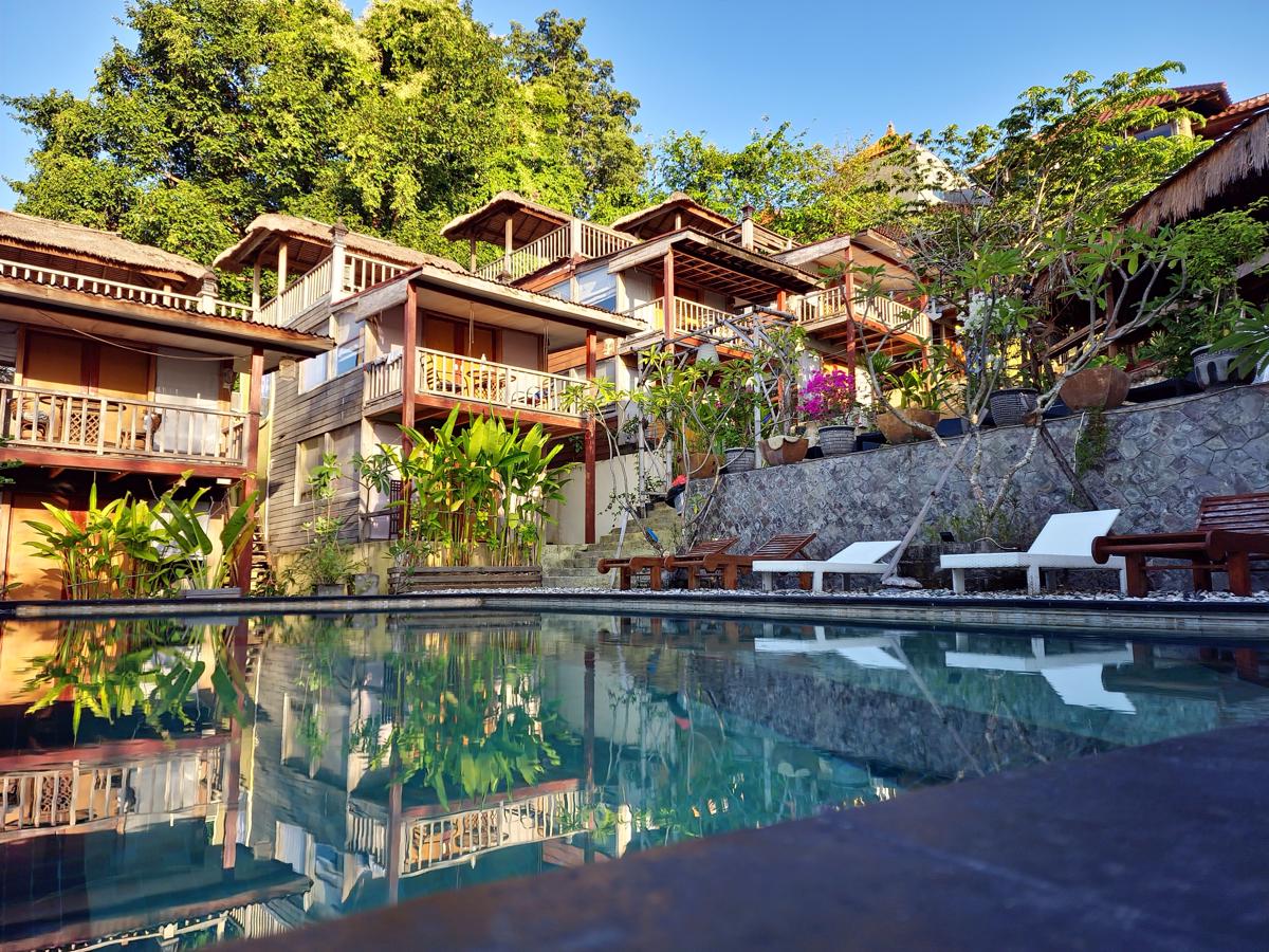 Tree House Lodge photo 1