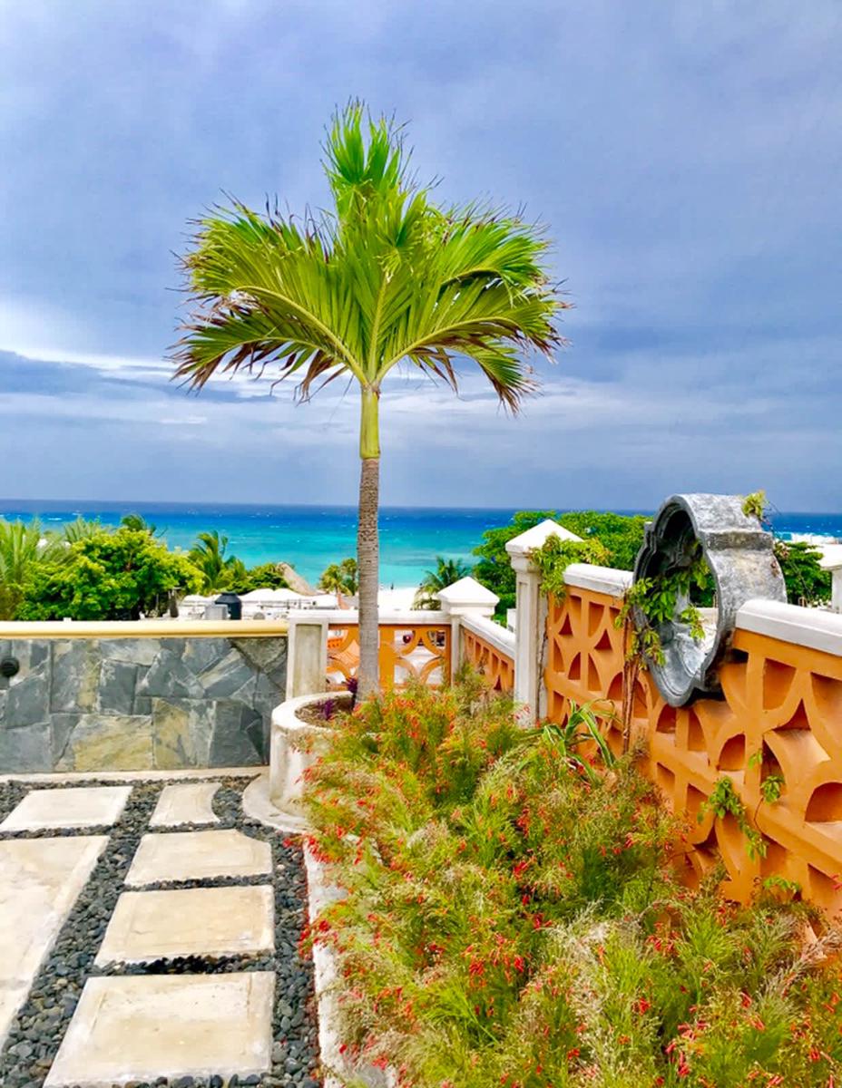 Hotel Cielo photo 1