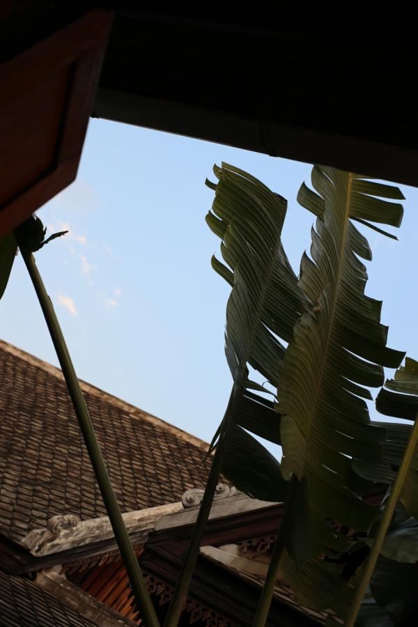 Aurora Backpackers Hostel photo 6