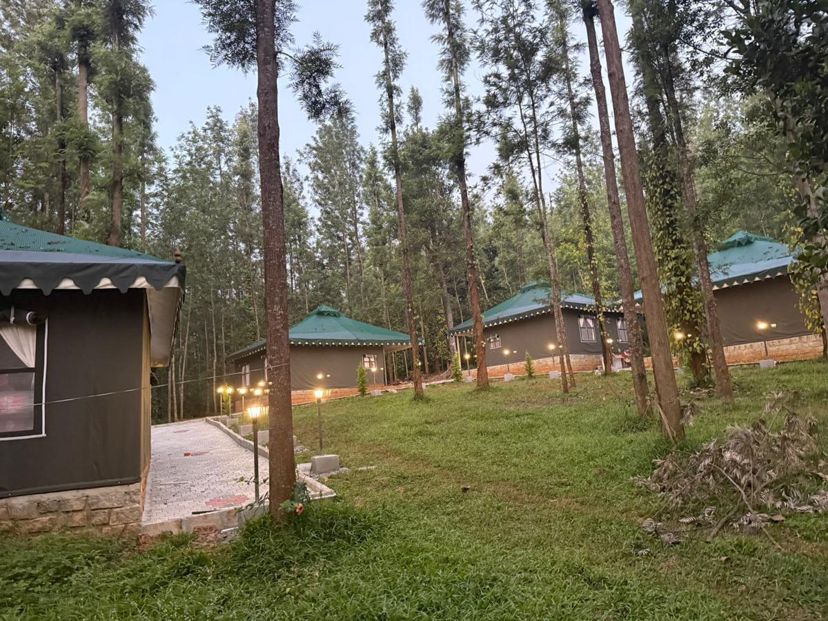 The Wild Deck - Chikkamagaluru photo 2