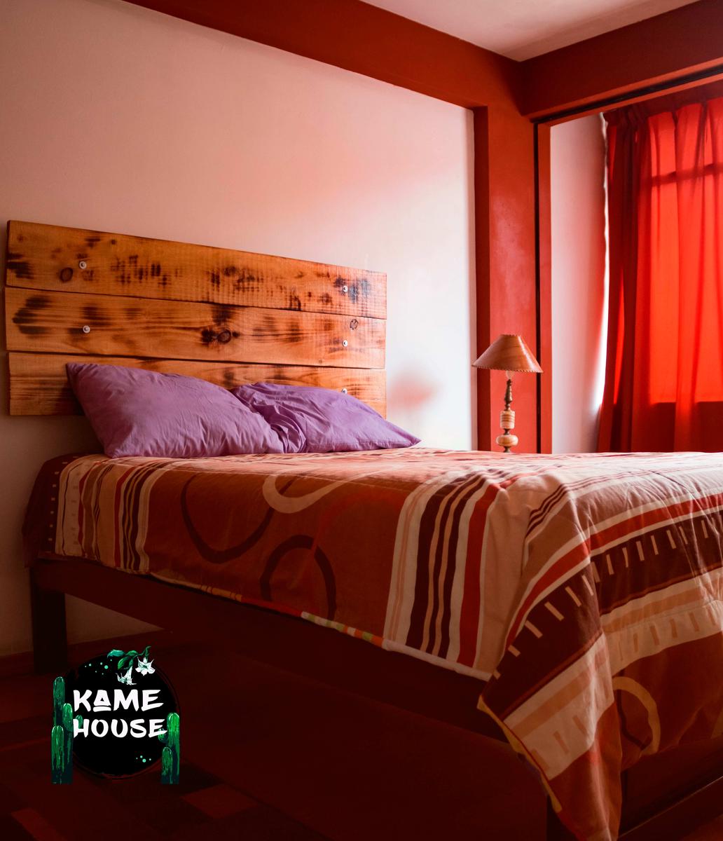 Kame House Backpacker photo 4
