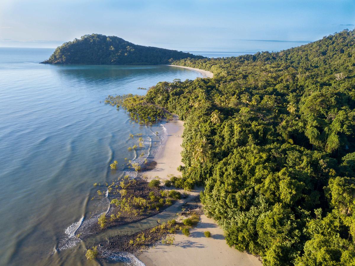 Cape Trib Beach House photo 1