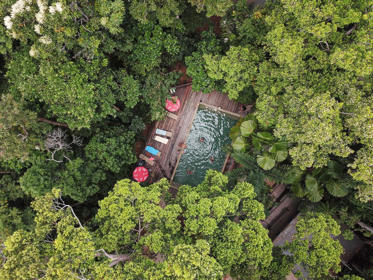 Cape Trib Beach House photo 2