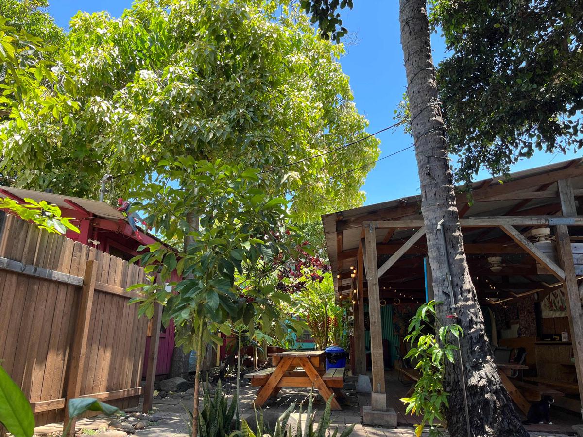 Banana Bungalow Maui Hostel photo 2