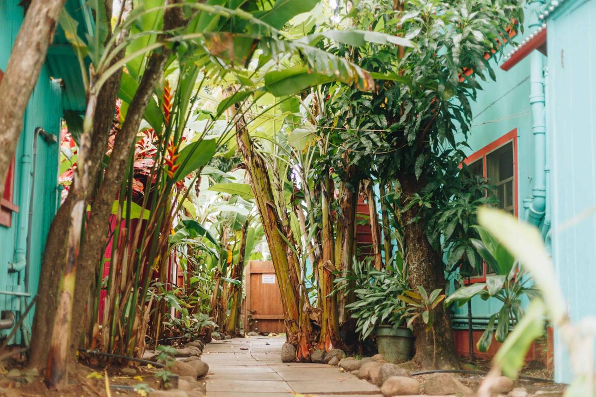 Banana Bungalow Maui Hostel photo 3