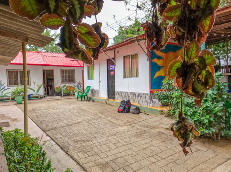 New Palomino Hostel photo 2