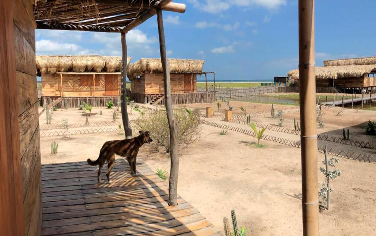 Palaa Mayapo Ecolodge photo 3