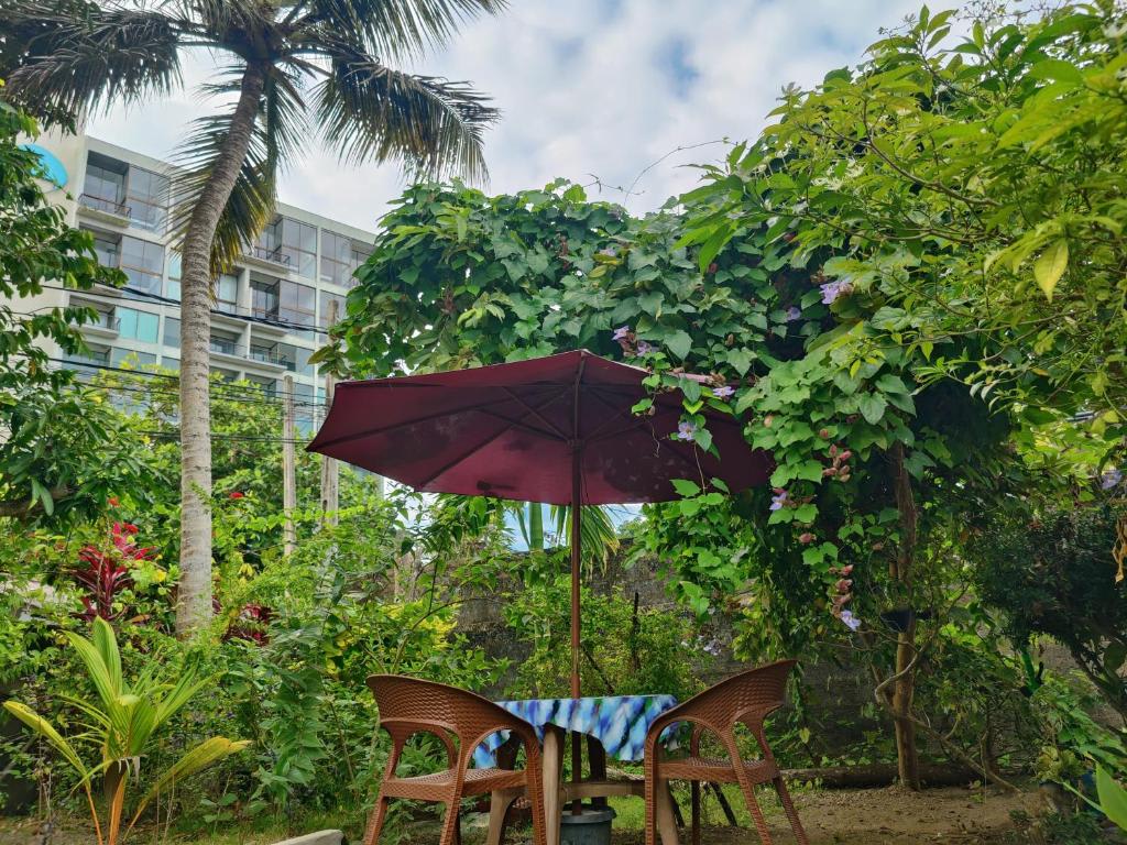 Samuu HomeStay photo 2
