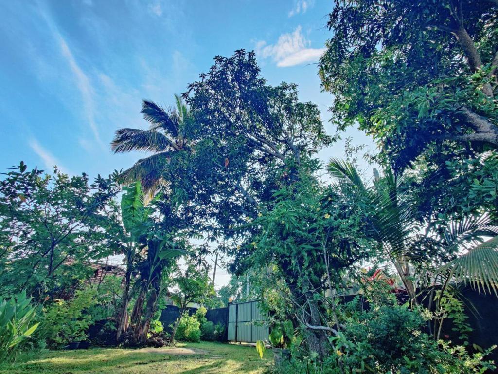 Samuu HomeStay photo 3