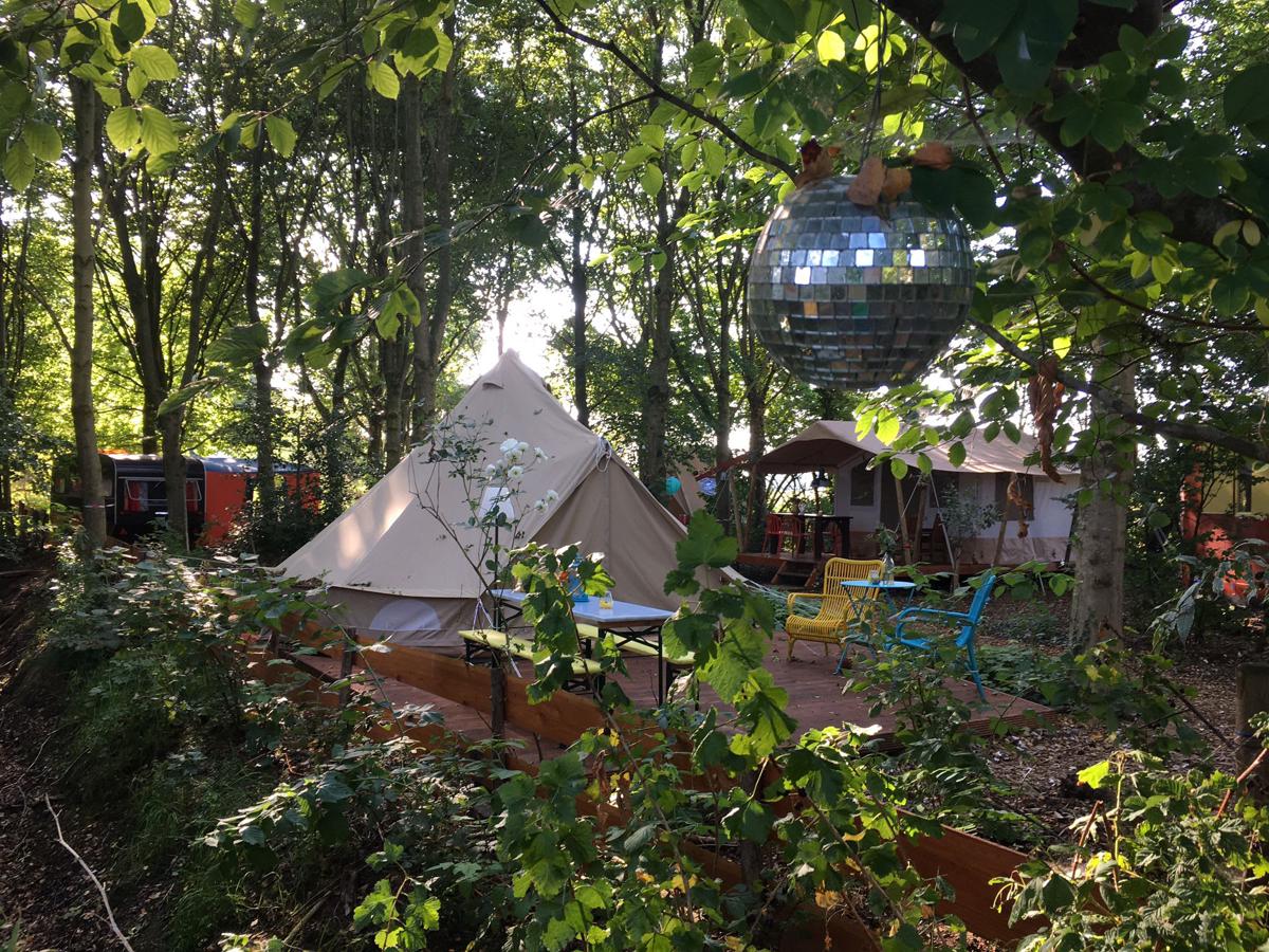 Camping De Helleborus photo 1