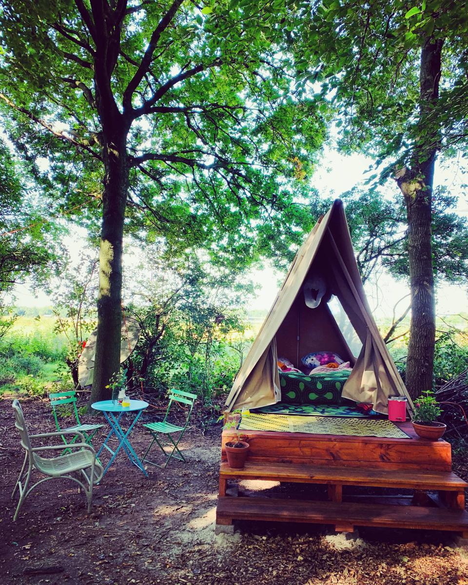 Camping De Helleborus photo 2