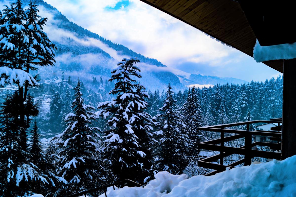 Alt Life - Manali photo 2