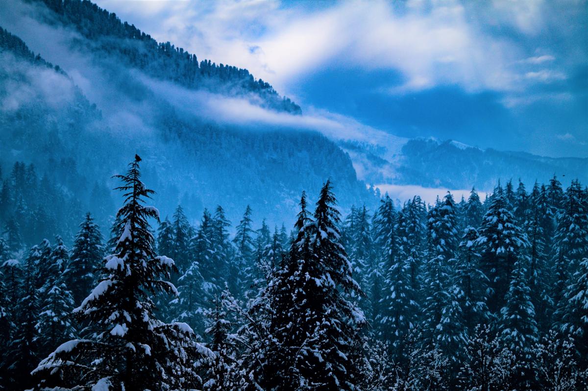 Alt Life - Manali photo 3