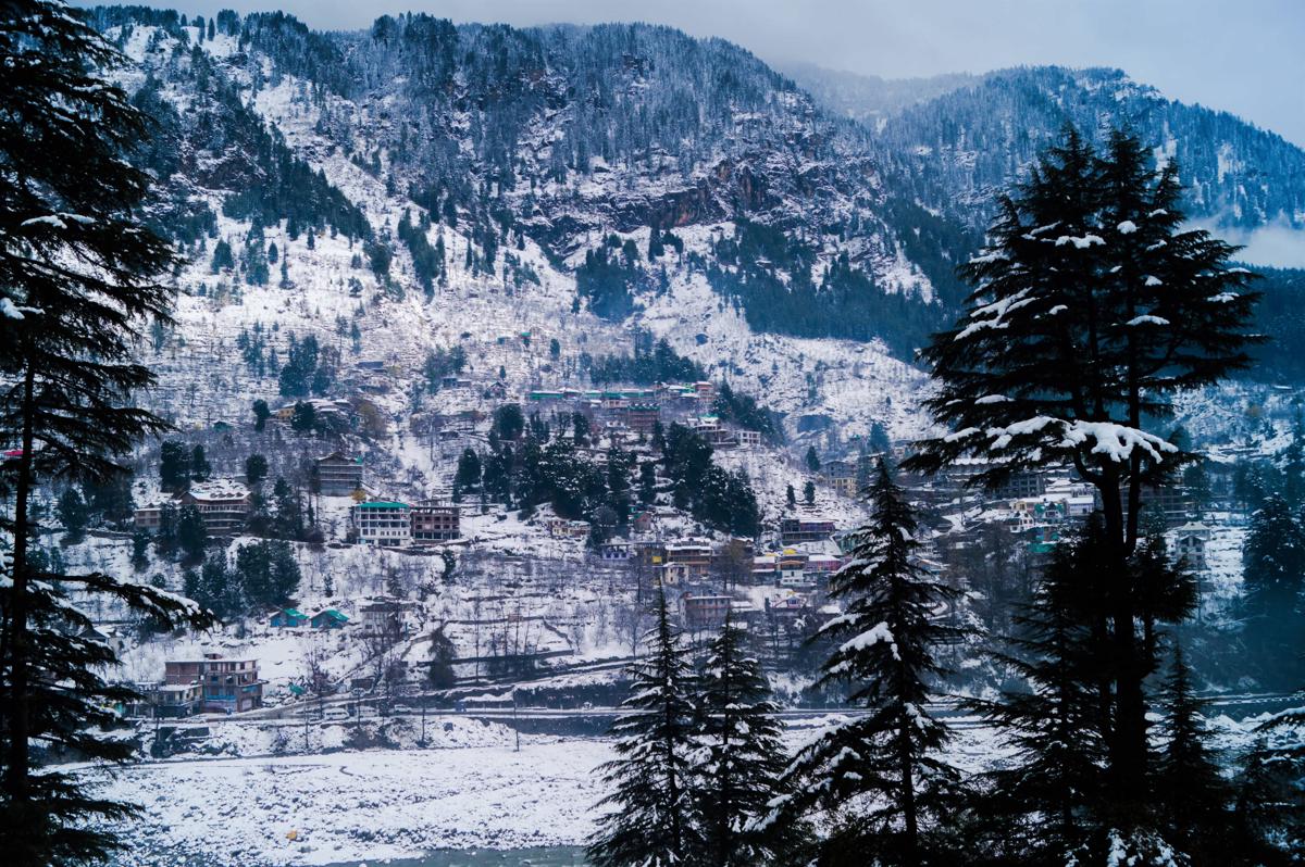 Alt Life - Manali photo 4