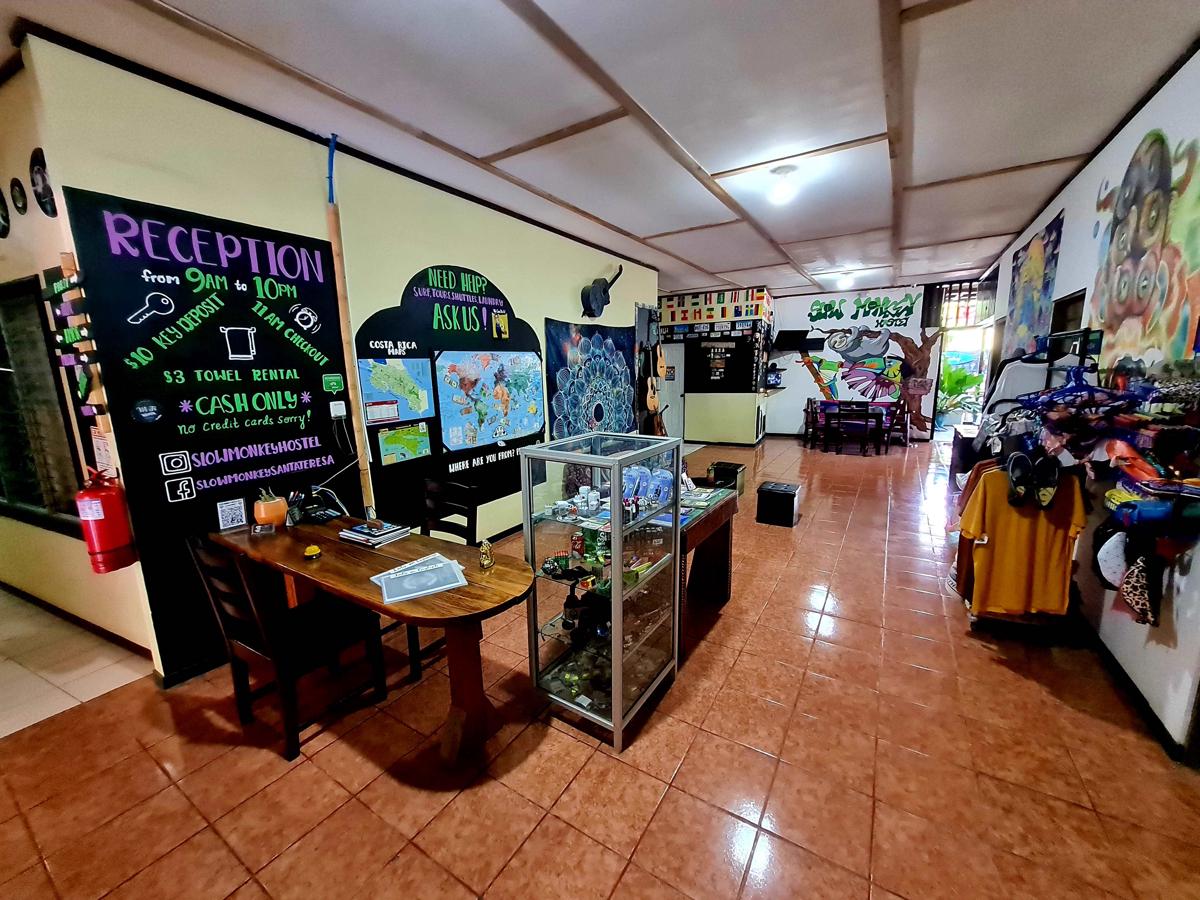 Slow Monkey Hostel photo 3
