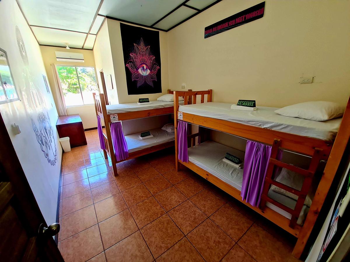 Slow Monkey Hostel photo 4