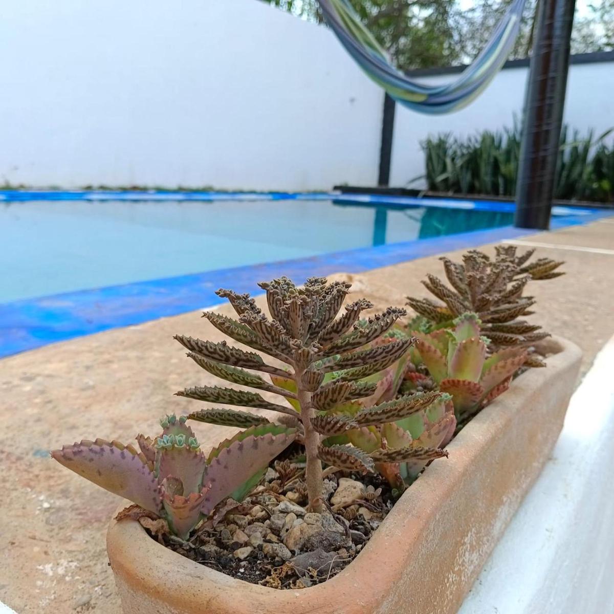 Casa Tavari photo 2