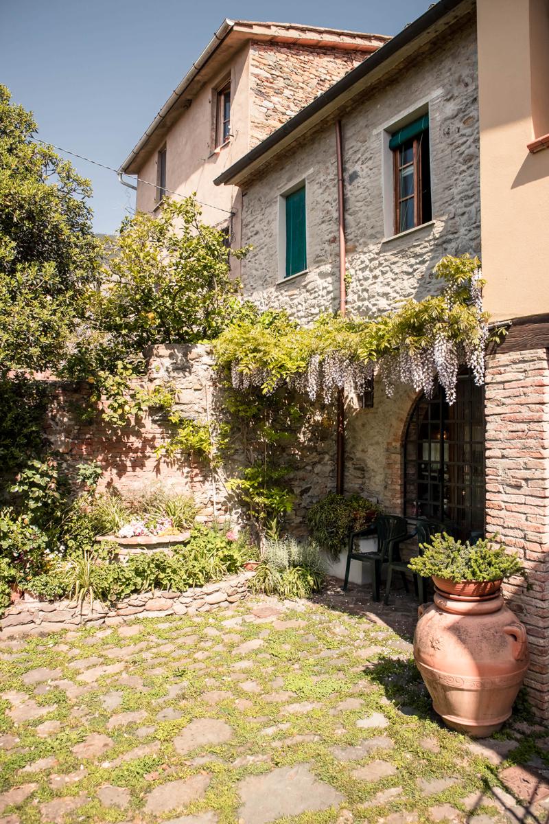Social Garden photo 5