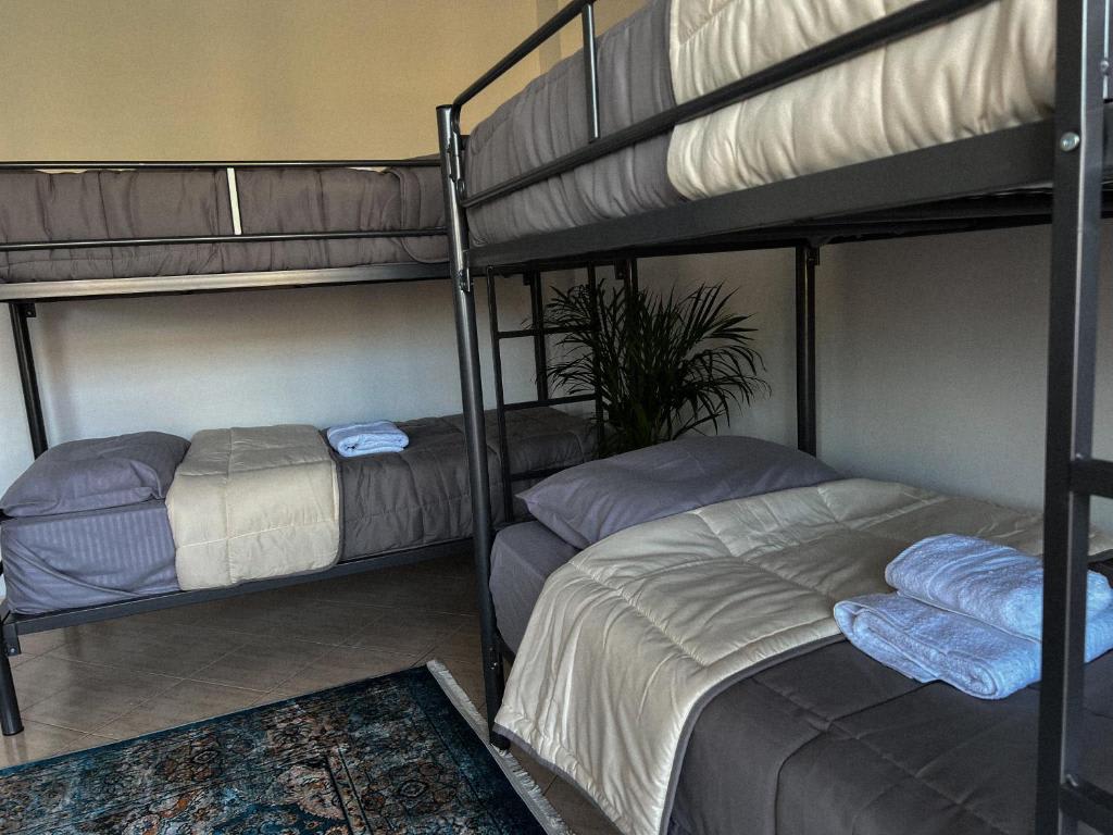 Hostel By Fenix photo 2