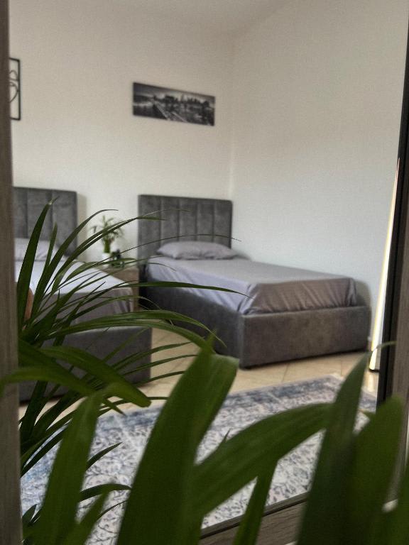 Hostel By Fenix photo 4