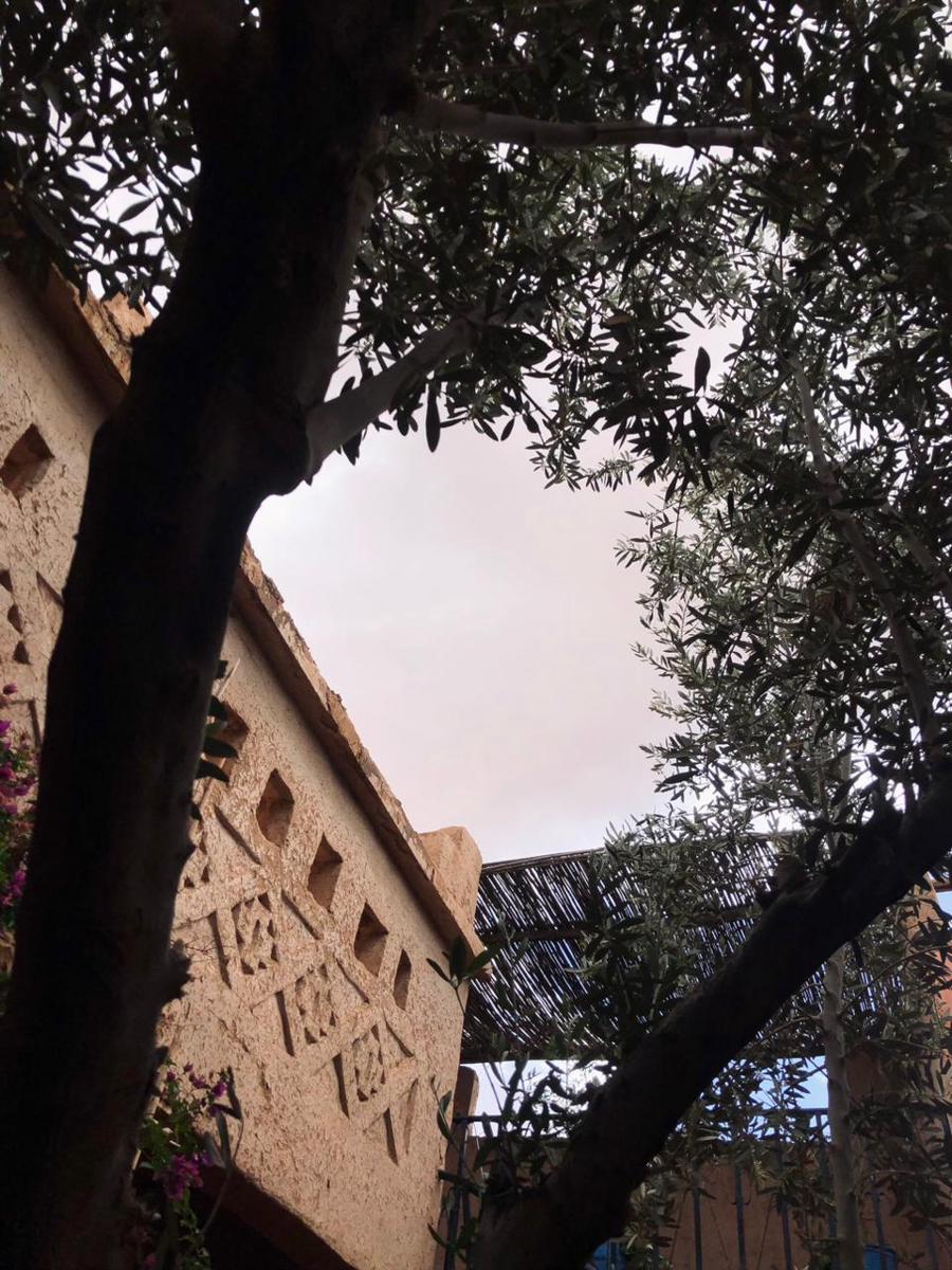 Kasbah Berbère Ouriz photo 3