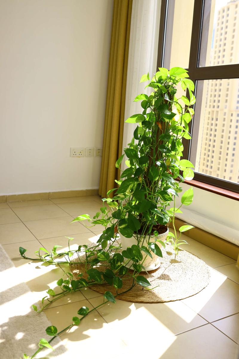 Shams JBR Hostel photo 2