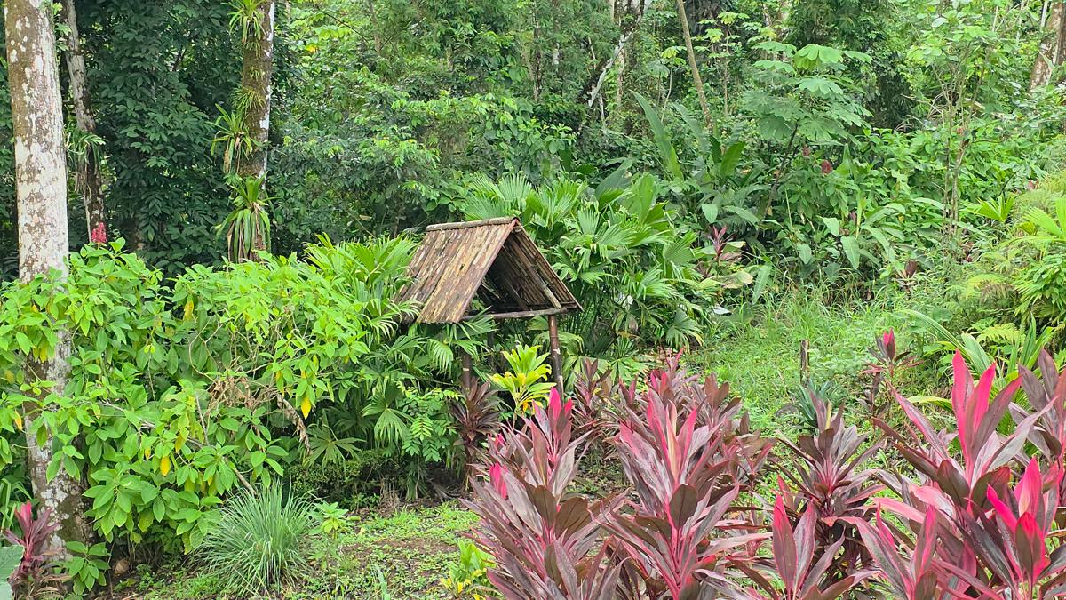 Hostel Senda photo 4