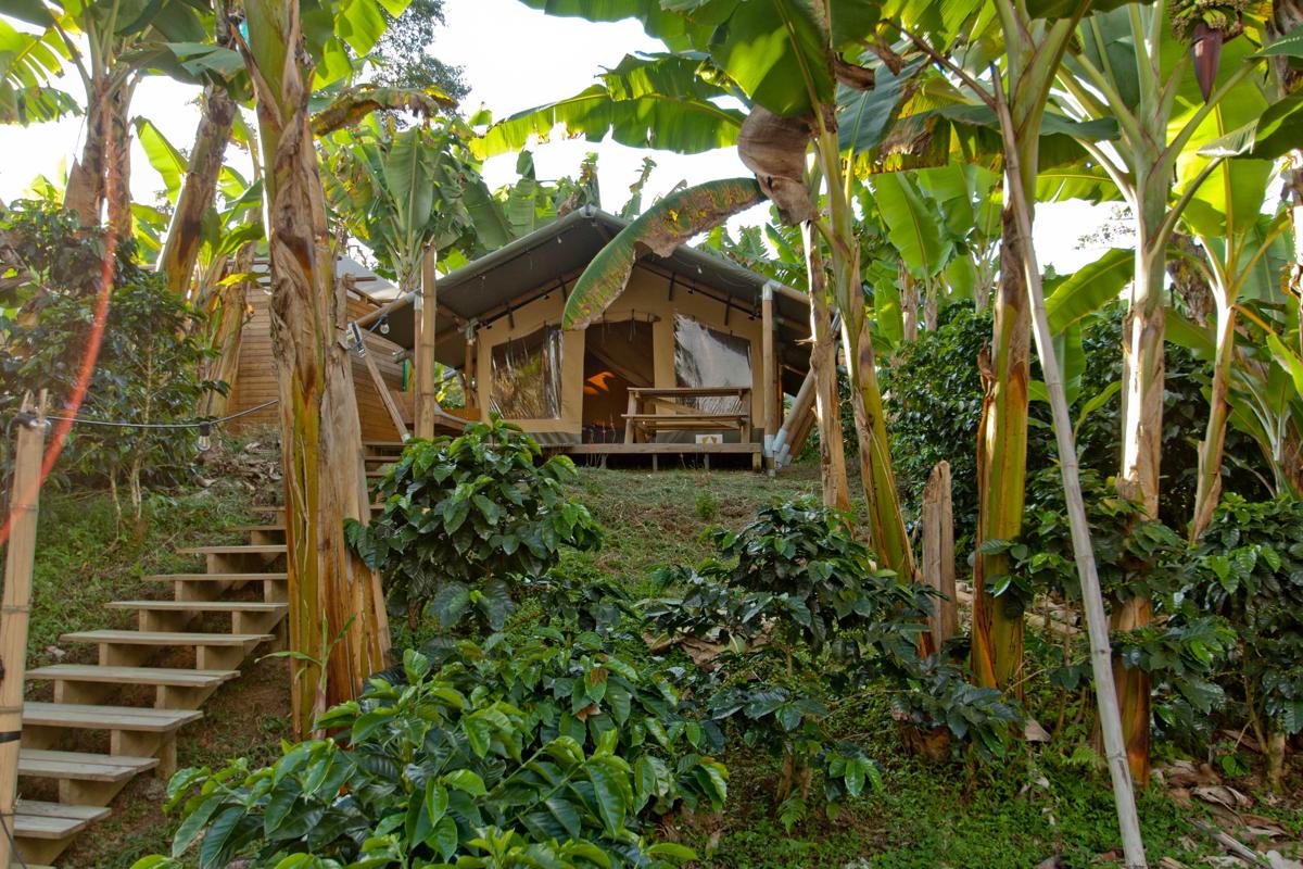 Glamping Jardín photo 4