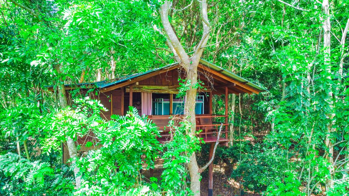 Jungle Host Hostel photo 2