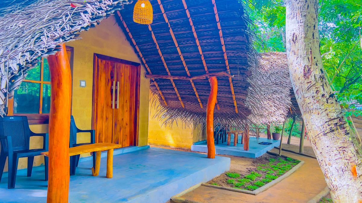 Jungle Host Hostel photo 3