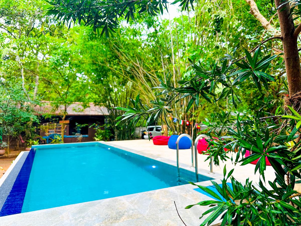 Jungle Host Hostel photo 4
