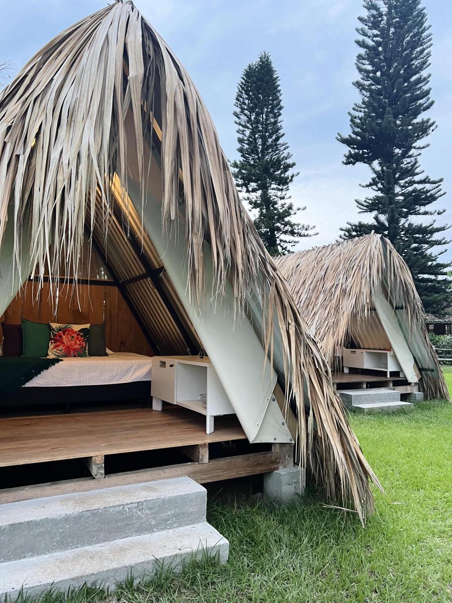 Terra Glamping photo 3