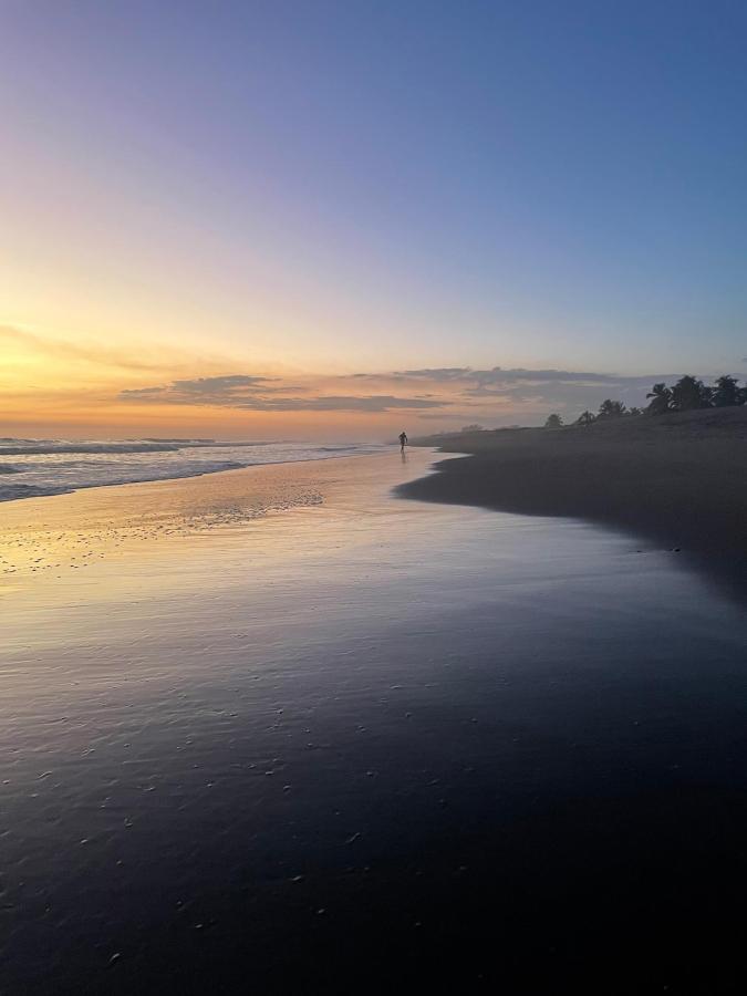 Surfing Turtle Lodge photo 6