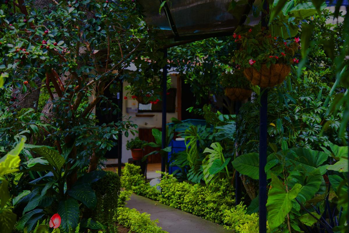 Hostel Antigueno photo 3