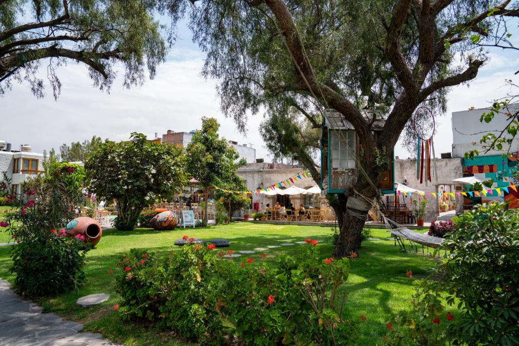 qema Arequipa photo 4