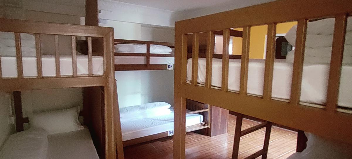 Nepalaya Hostel photo 2