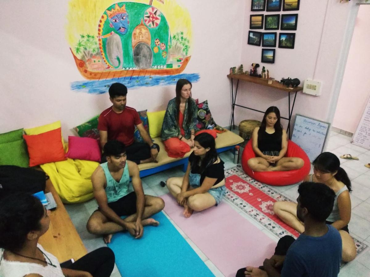Gibbon Backpackers Hostel photo 1