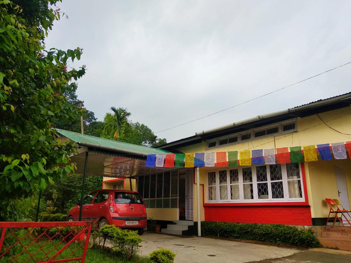 Gibbon Backpackers Hostel photo 3