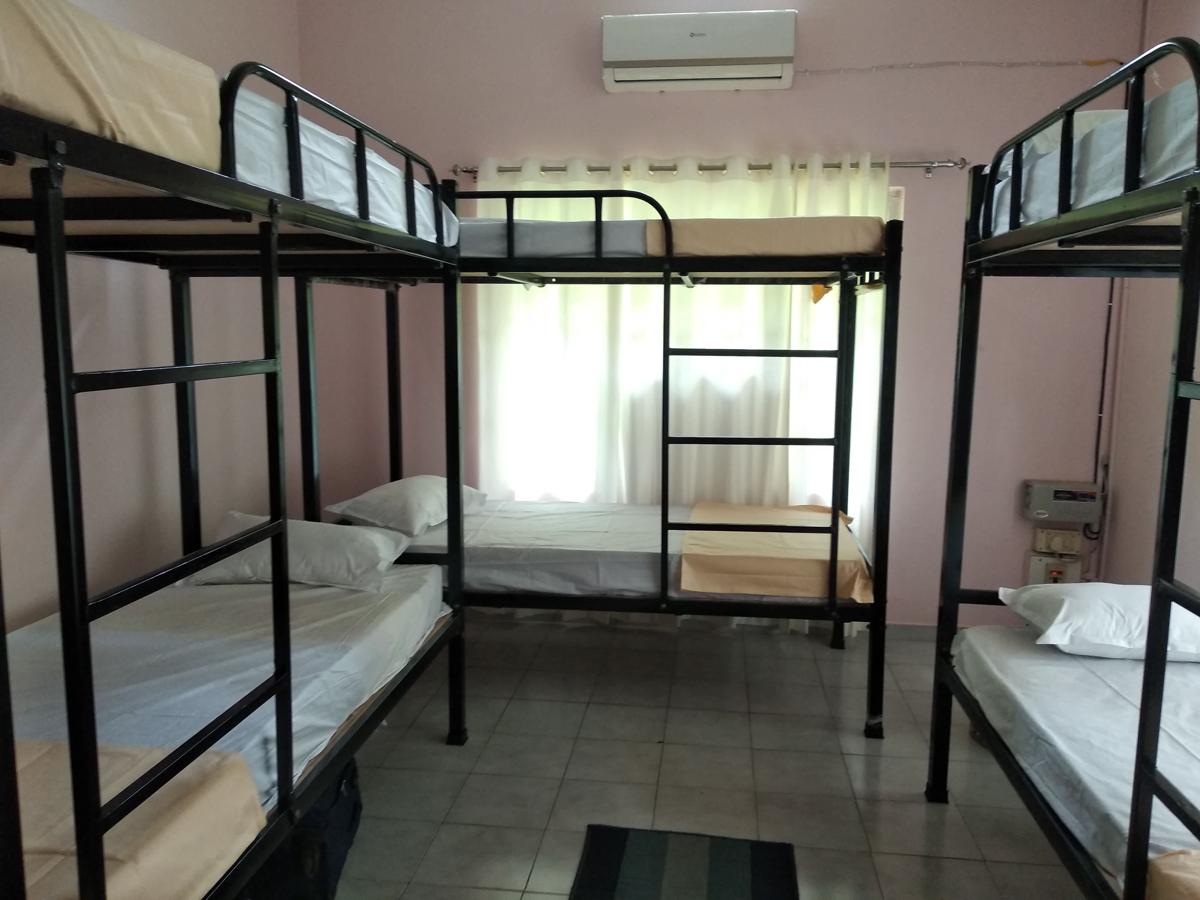 Gibbon Backpackers Hostel photo 4