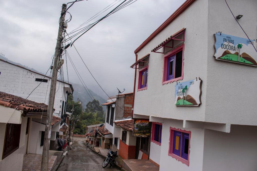 Hostal Palmas de Cocora photo 4
