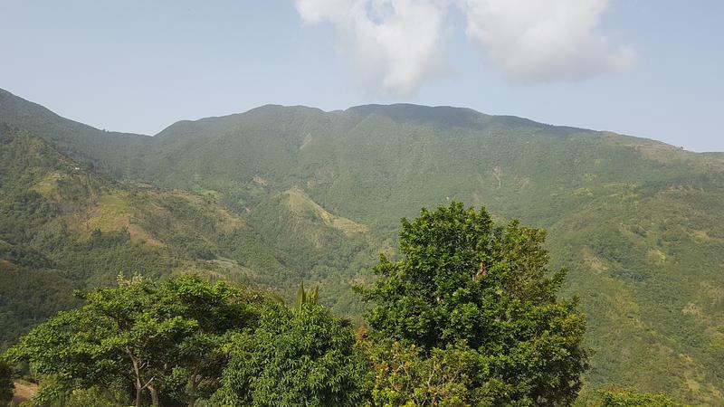 Jay's Guest House photo 5