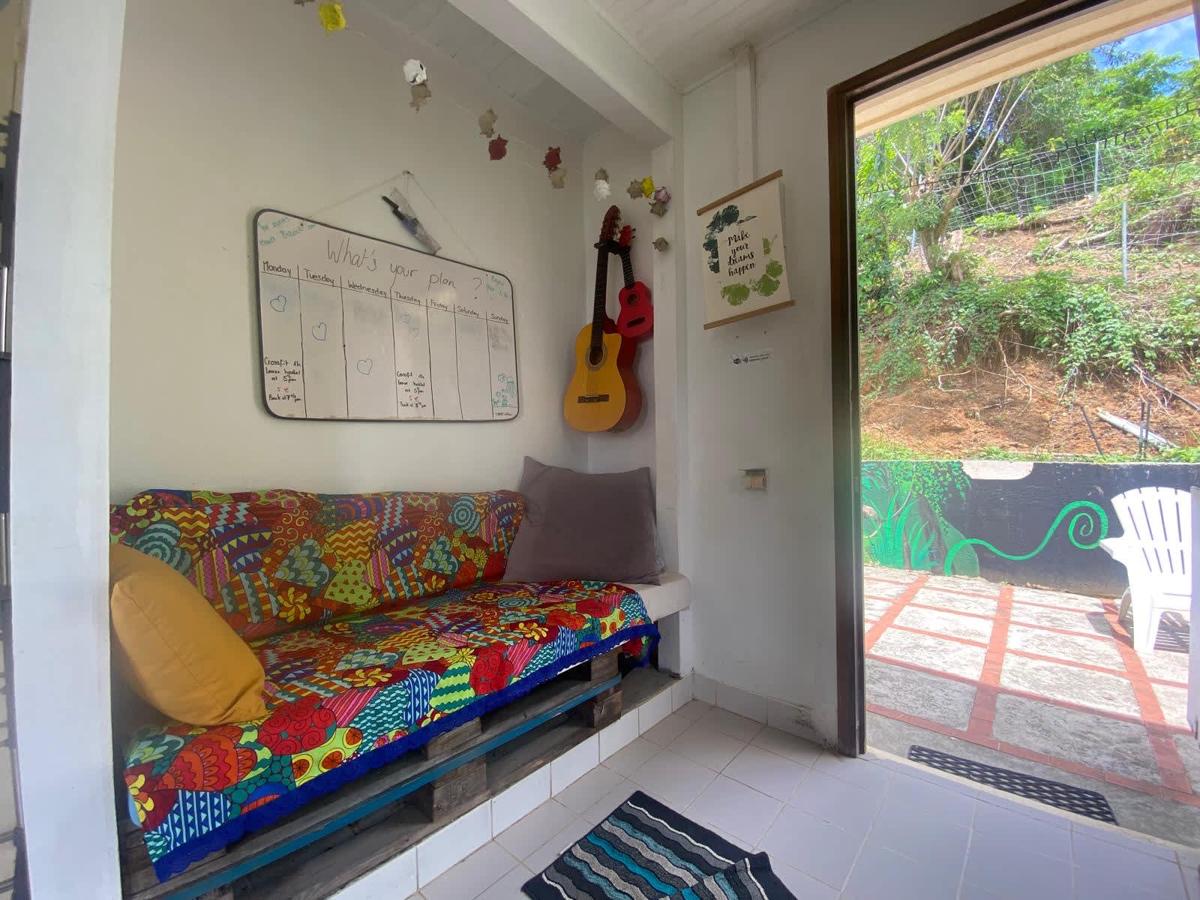 Top Hill Hostel Martinique photo 2